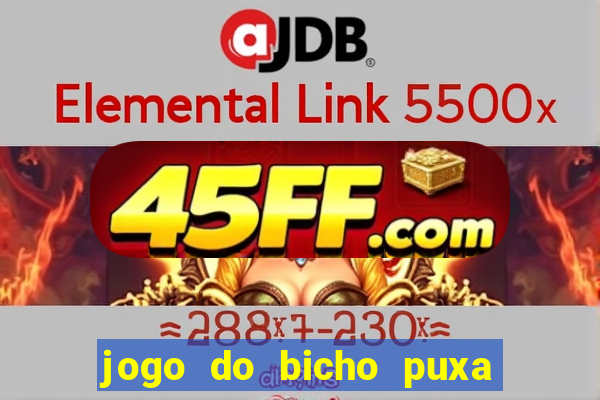 jogo do bicho puxa de dona maria